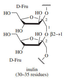 Inulin Molecule