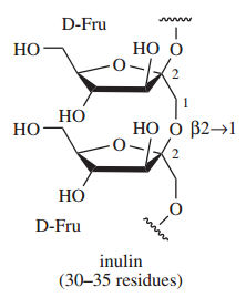 inulin structure